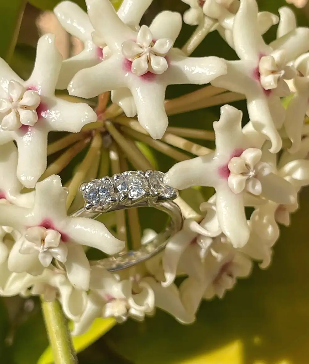 Anello trilogy con tre brillanti tra fiori bianchi